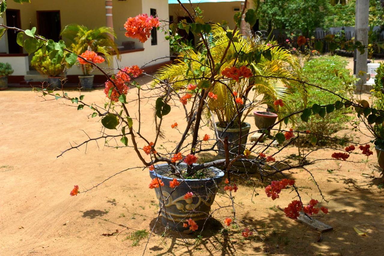 Yaswi Guest House Passikudah Екстериор снимка